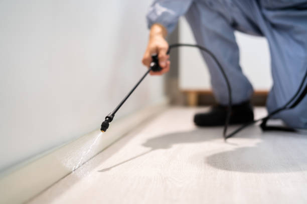 Licensed Termite Control service in Capron, IL - Show Me Pest Control