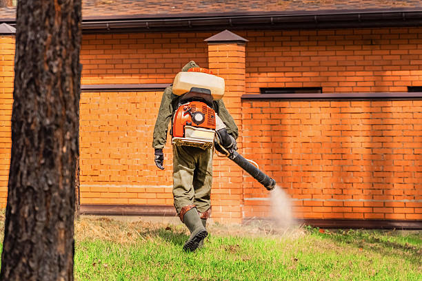 Top rated local Wasp Removal specialists in Capron, IL